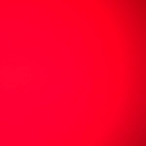 Meet your Posher, Riley